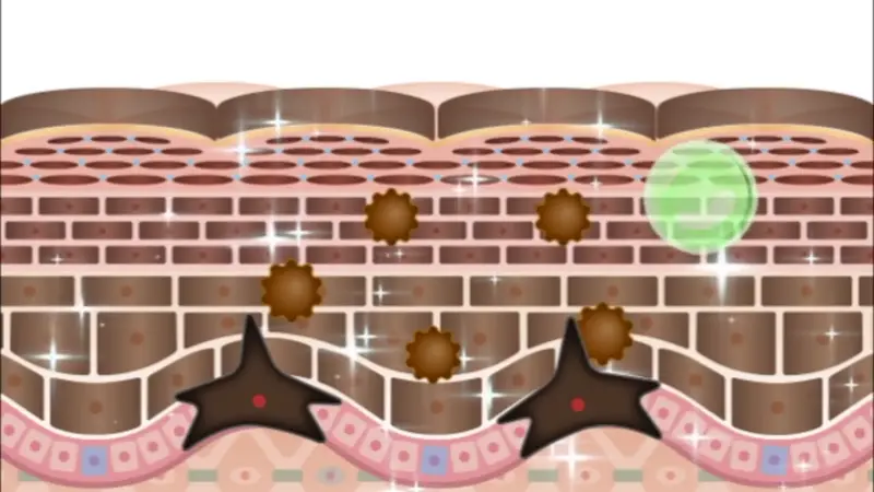 Question 1 Image